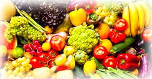 nutrition pic